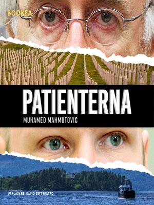 cover image of Patienterna